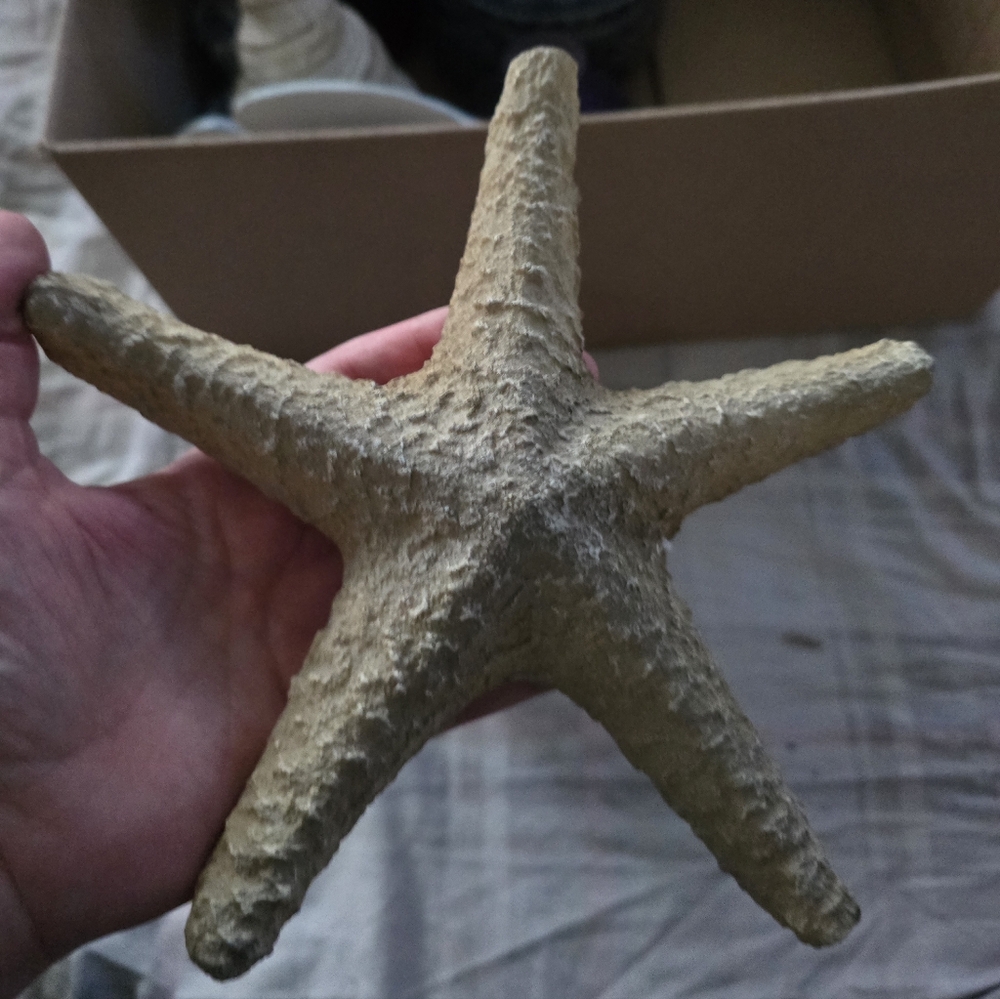 At Home Star Fish Decor, Good Condition